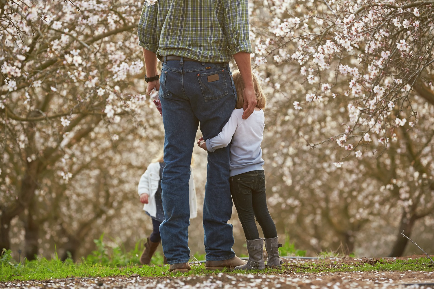 DES FERMES FAMILIALES