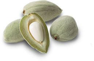 Amandes vertes